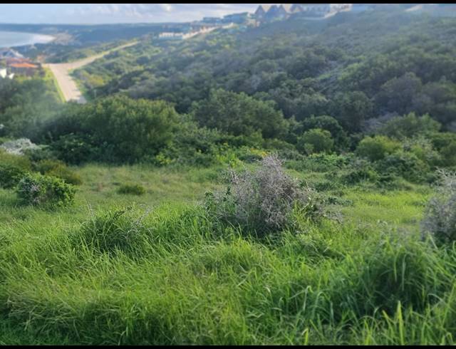 990M² VACANT LAND FOR SALE IN DANA BAY